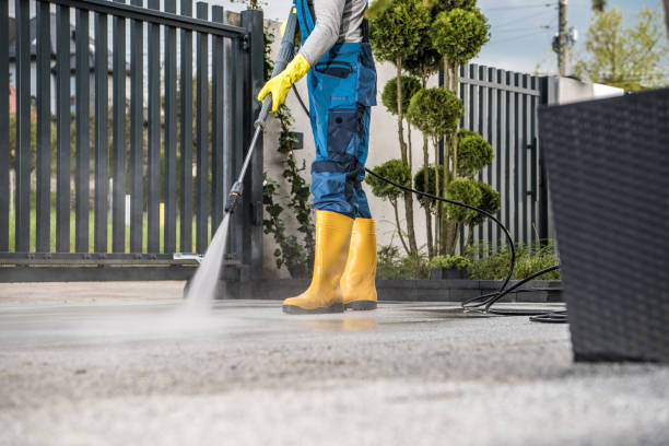 Boat and Dock Cleaning in Burlington, WI